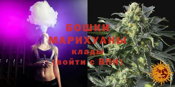бошки Алексин