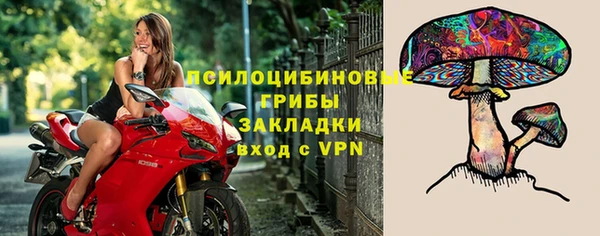сатива Абинск