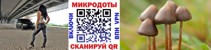что такое   Благовещенск  Псилоцибиновые грибы мухоморы 
