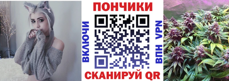Бошки Шишки план  Благовещенск 